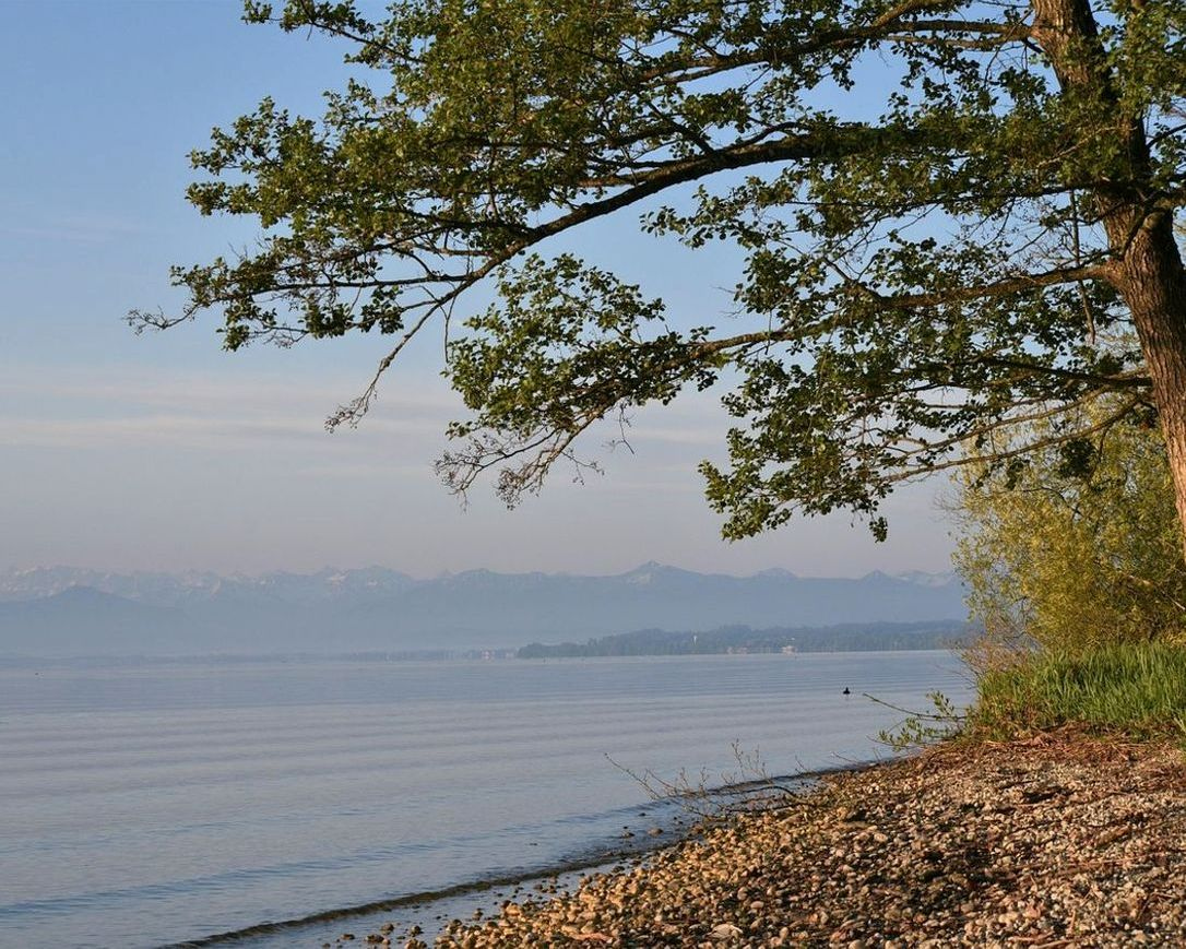Peaceful lakeside retreat mornings